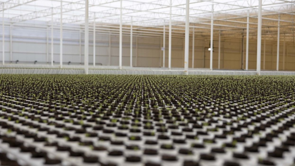 neom topian greenhouse