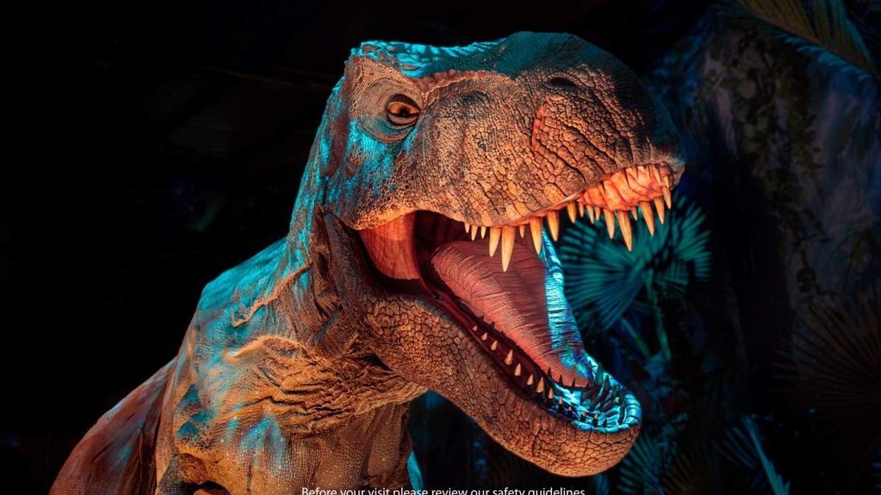 neon Jurassic World Exhibition TRex