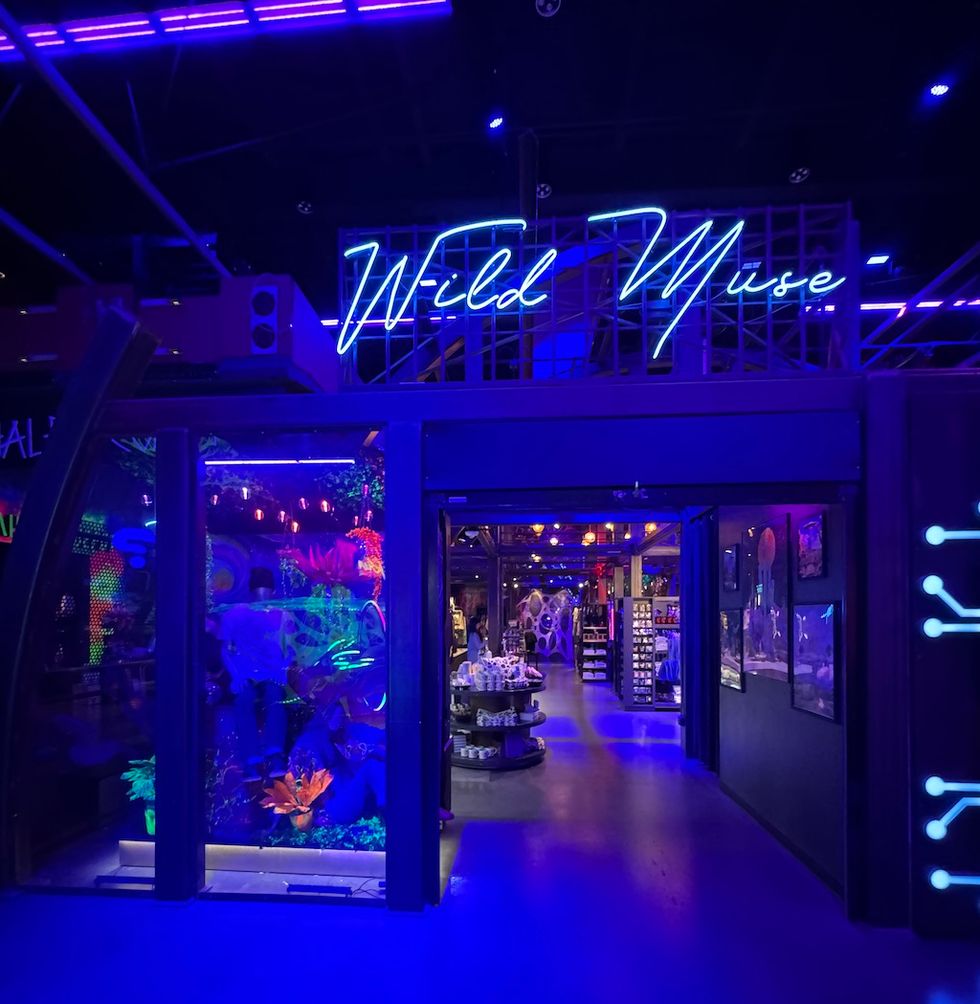 Neon-lit "Wild Muse" entrance with glowing decor and shelves inside.