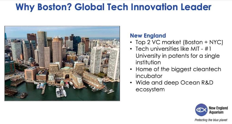 New England Aquarium BlueSwell Boston
