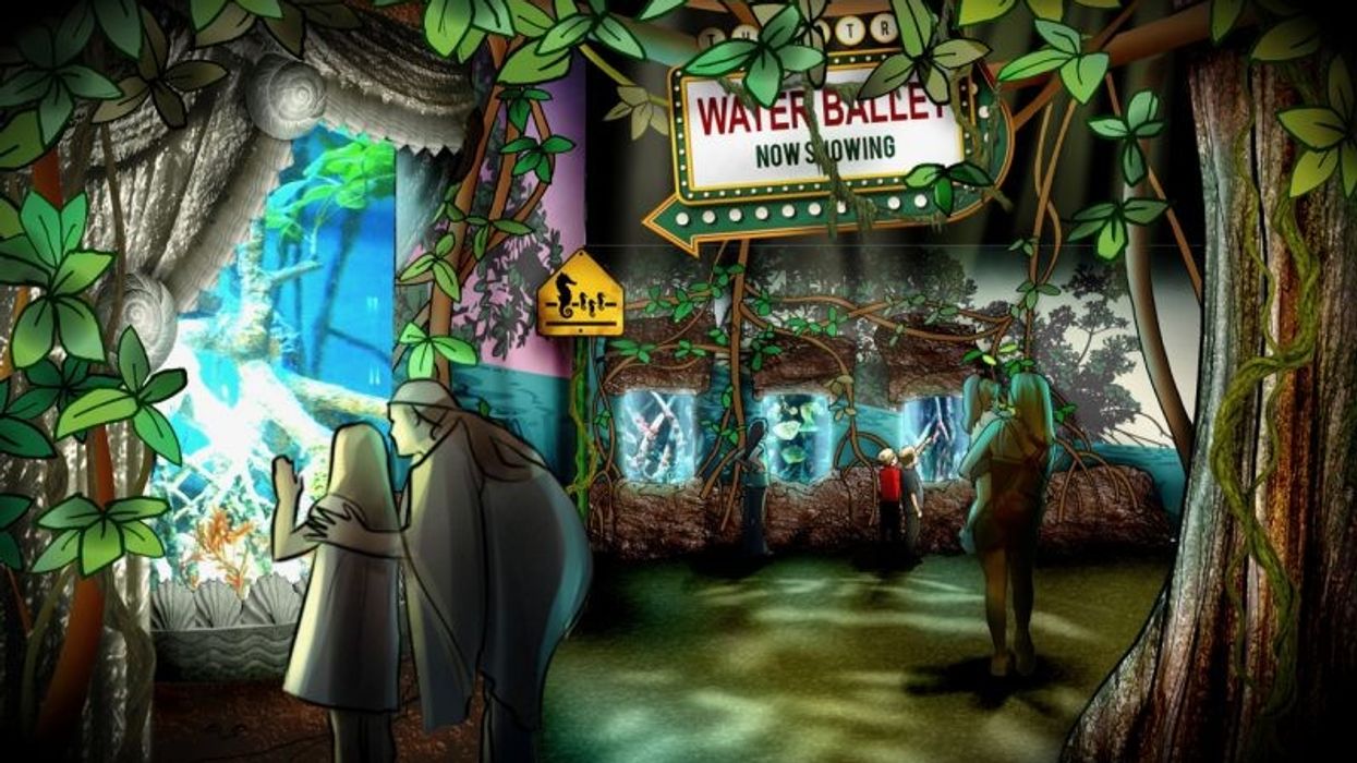 new jersey sea life aquarium american dream