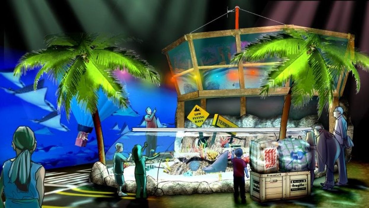 new jersey sea life aquarium american dream