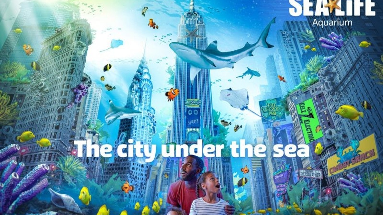 new jersey sea life aquarium projects american dream