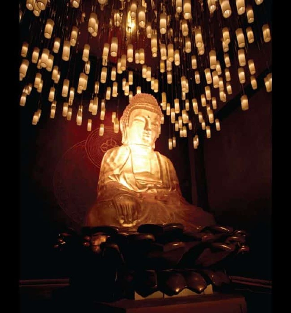 nFusion Companies of Nassal Buddha