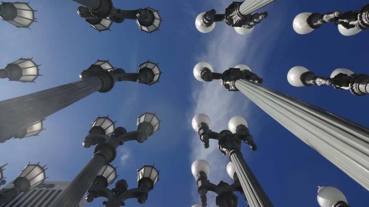 NFusion-Insights-image-by-Lisa-J-Schanley