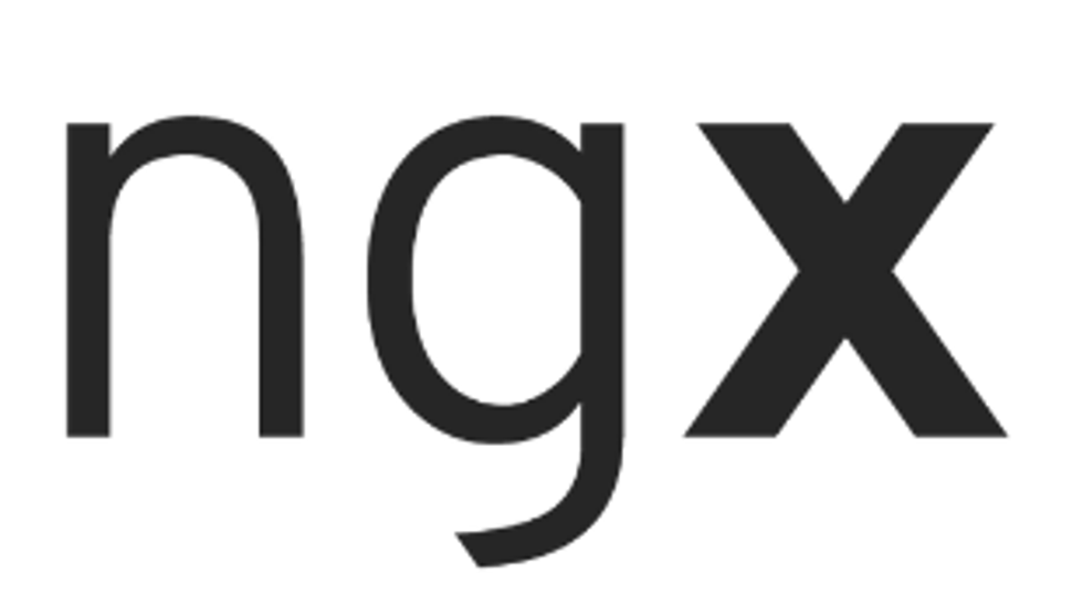 ngx logo