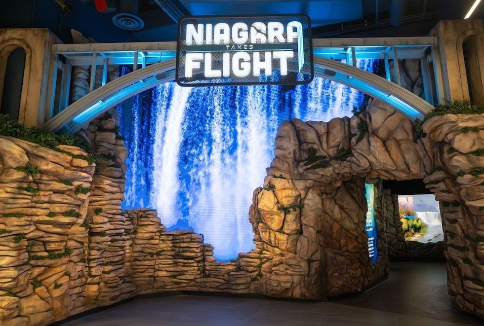 Niagara-Takes-Flight
