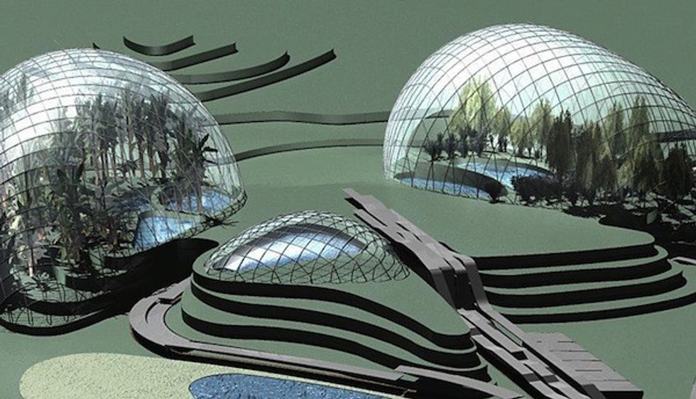 nirah aquarium grimshaw