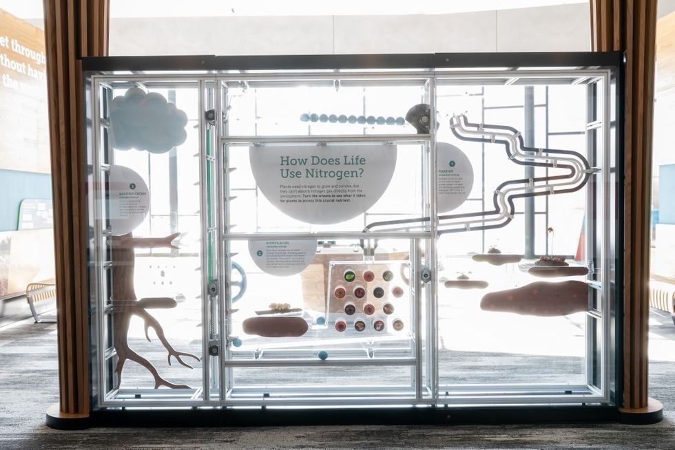 nitrogen interactive