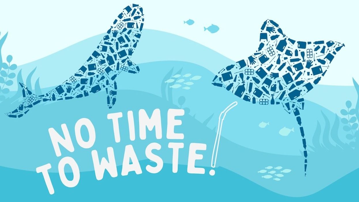 No Time to Waste!