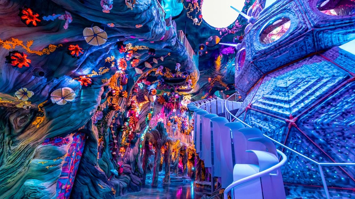 Numina Meow Wolf Denver