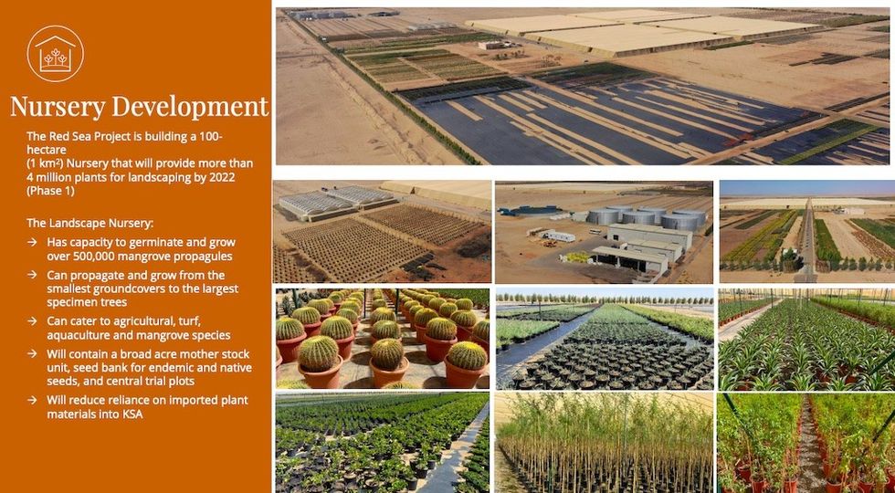 nursery development red sea project