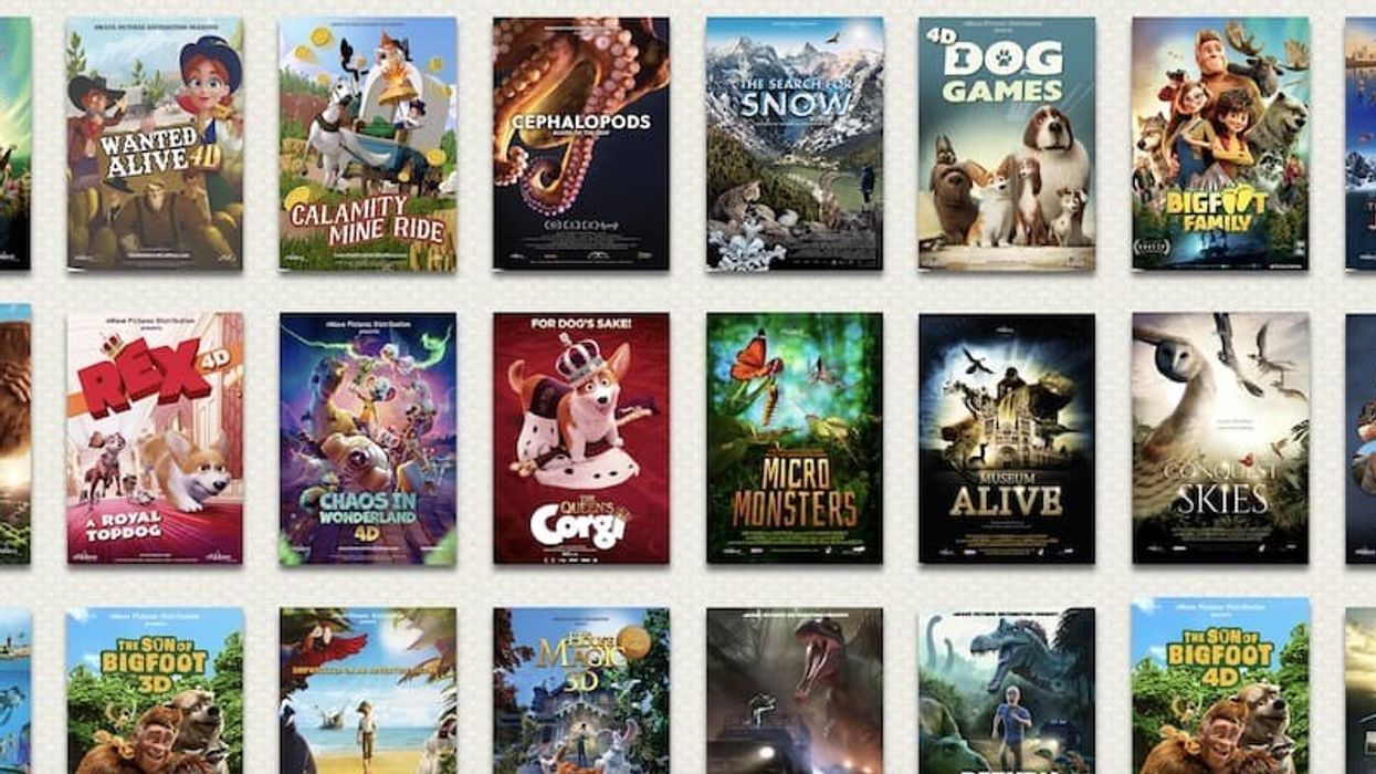 nWave film catalogue collage