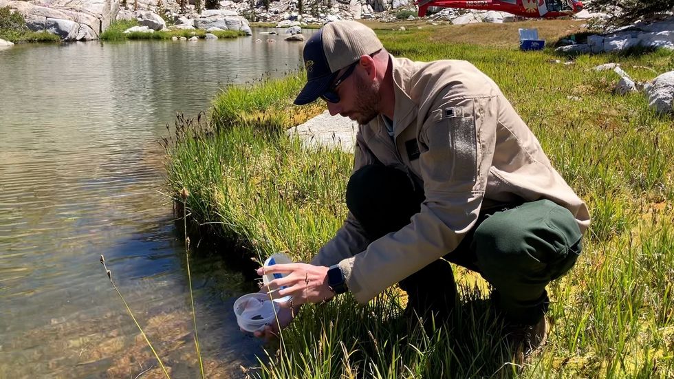 oakland zoo frog release