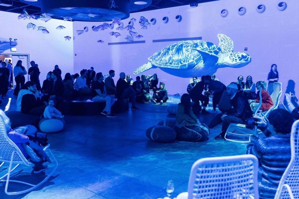 Oasis Immersive Root for Nature National Geographic