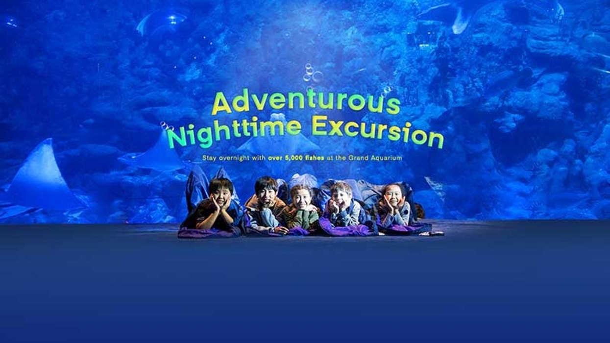 Ocean Park Adventure Camp edutainment Hong Kong