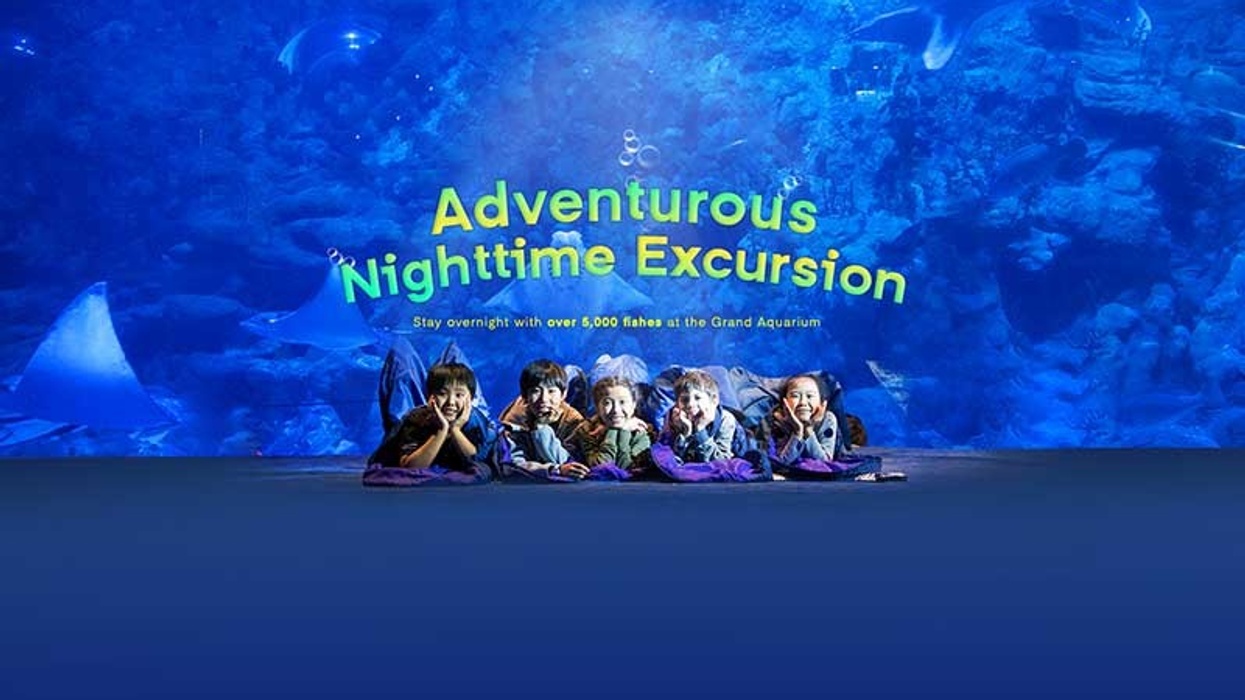 Ocean Park Adventure Camp edutainment Hong Kong