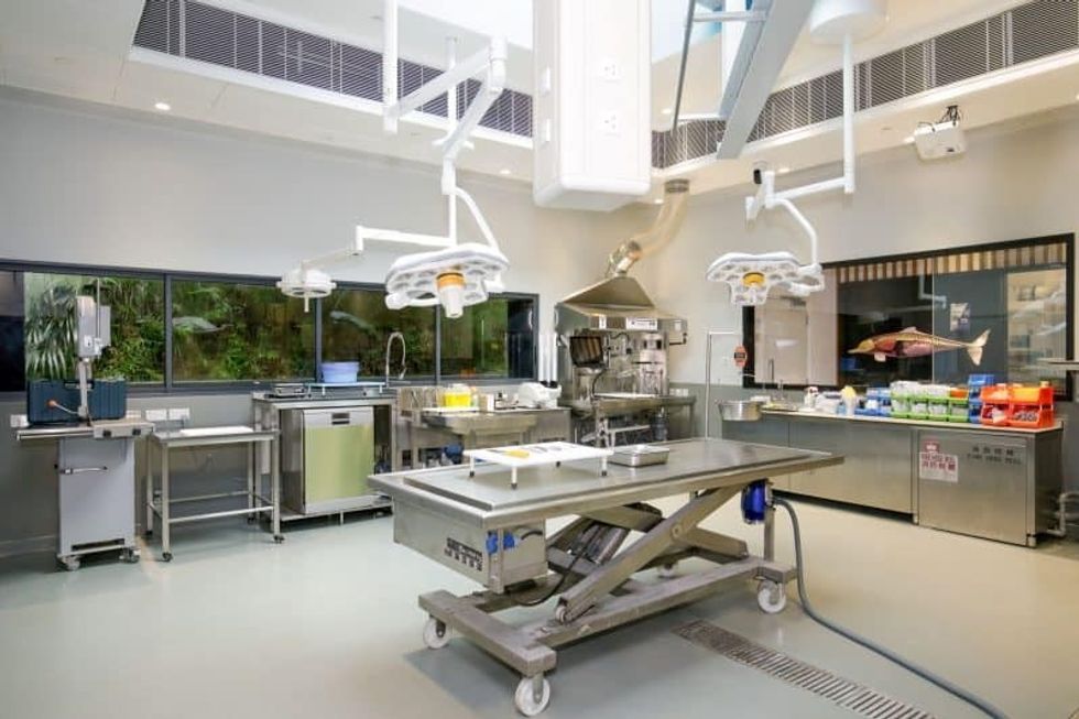 ocean park hong kong marine life stranding education centre