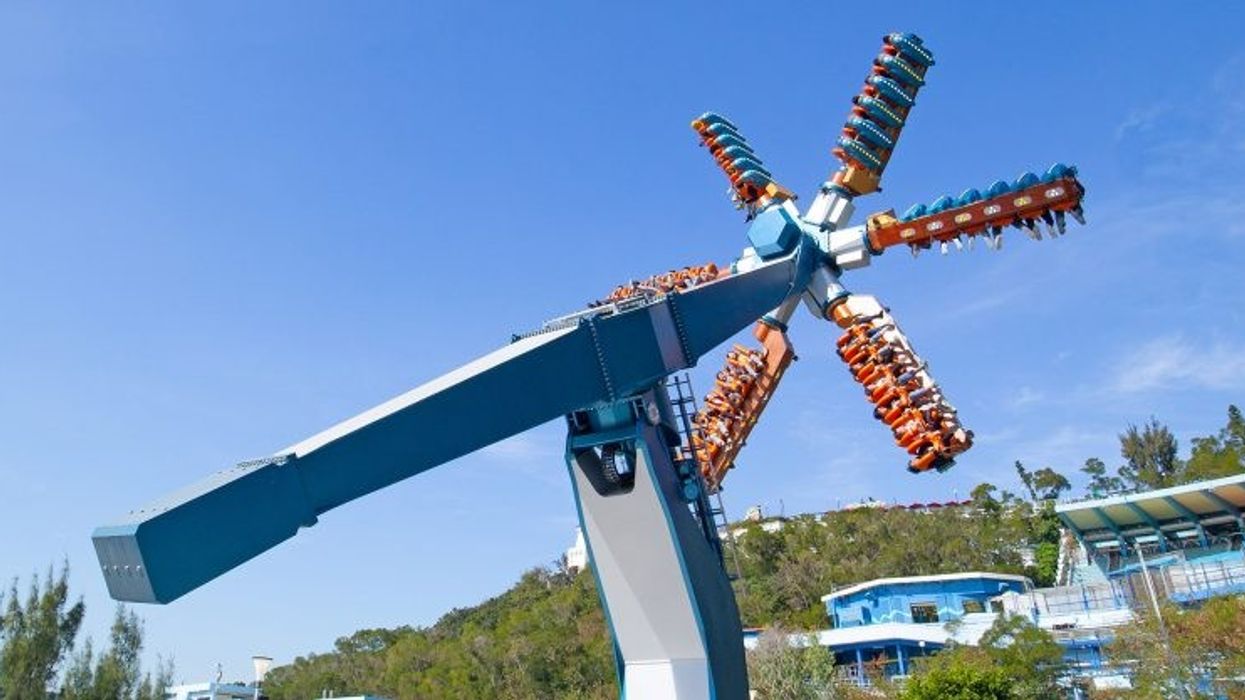 ocean park wild twister
