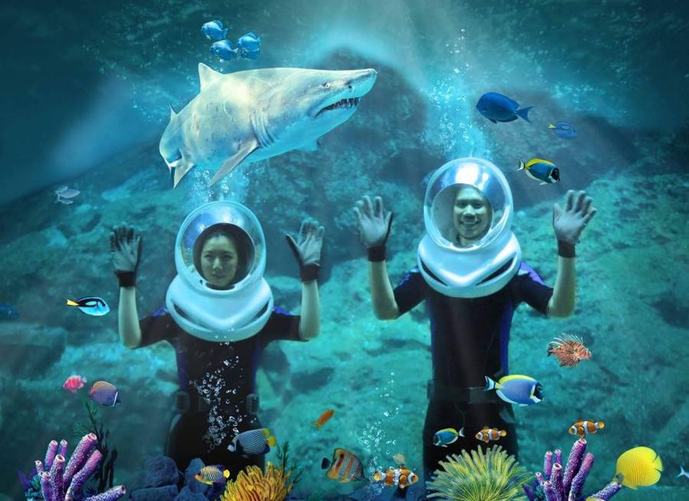 ocean walker sealife bangkok