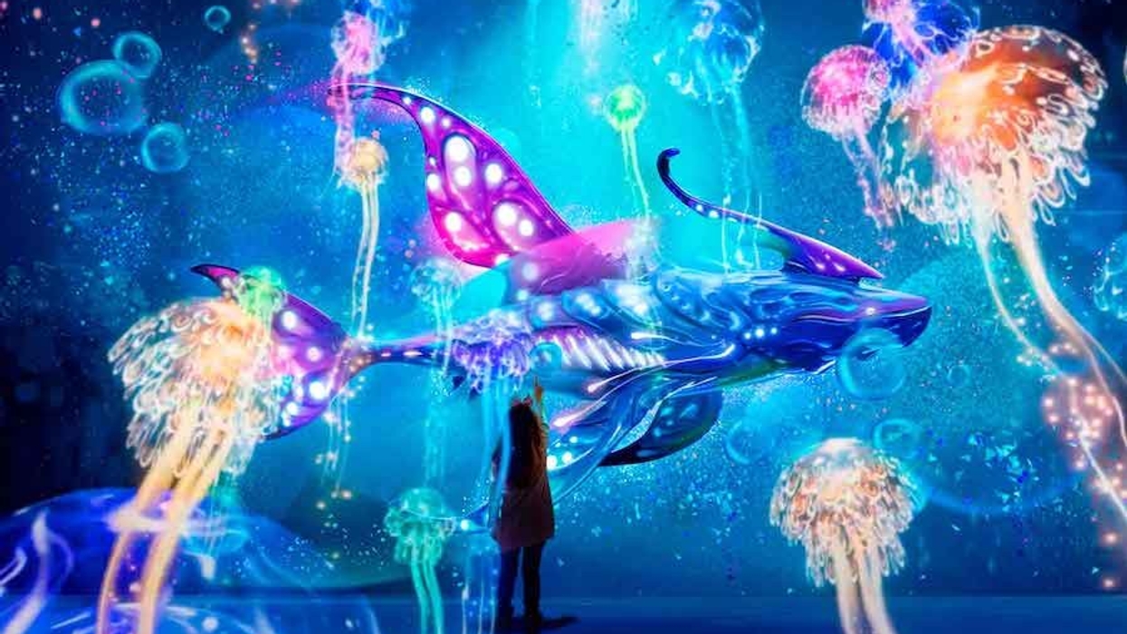 oceanarium romford hello i:o