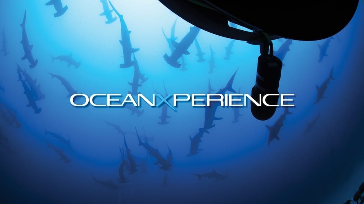 OceanXperience