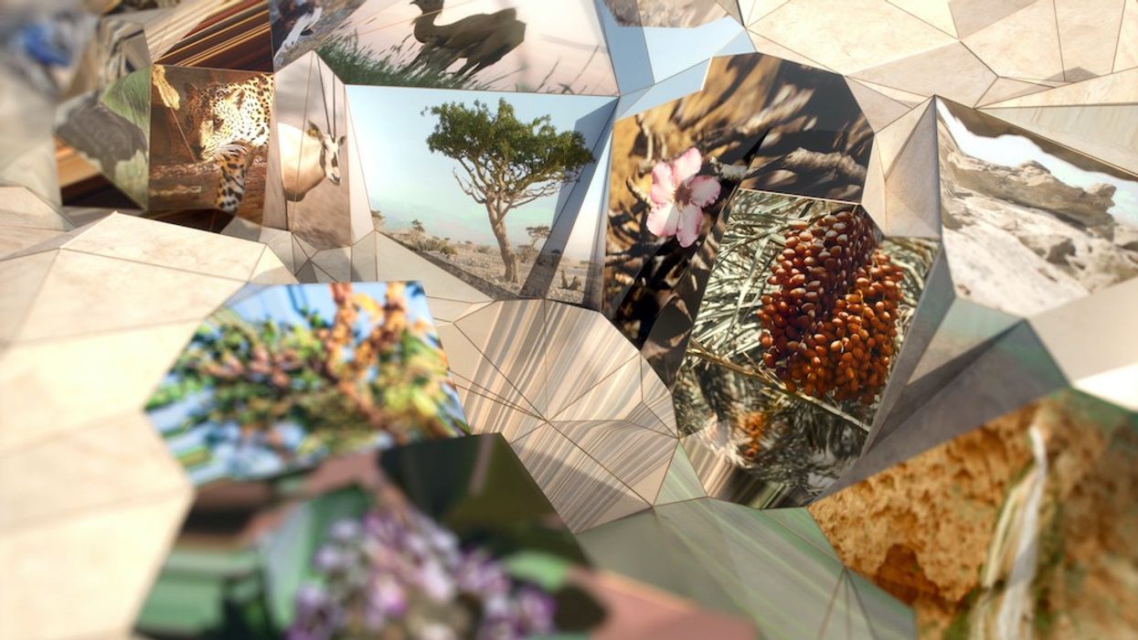 Oman Across the Ages Squint:Opera