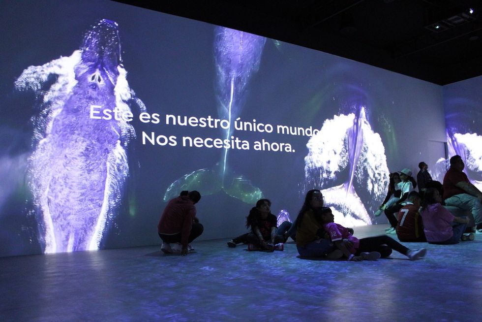 One World One Chance in Mexico