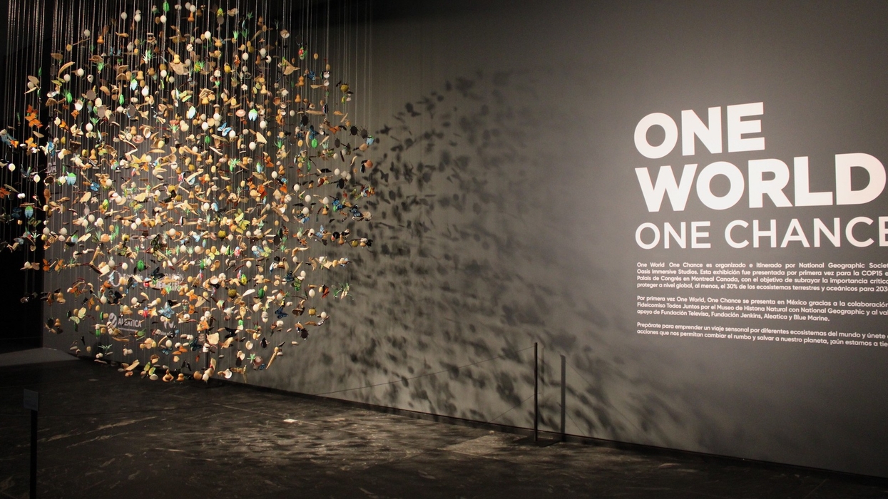 One World One Chance Mexico