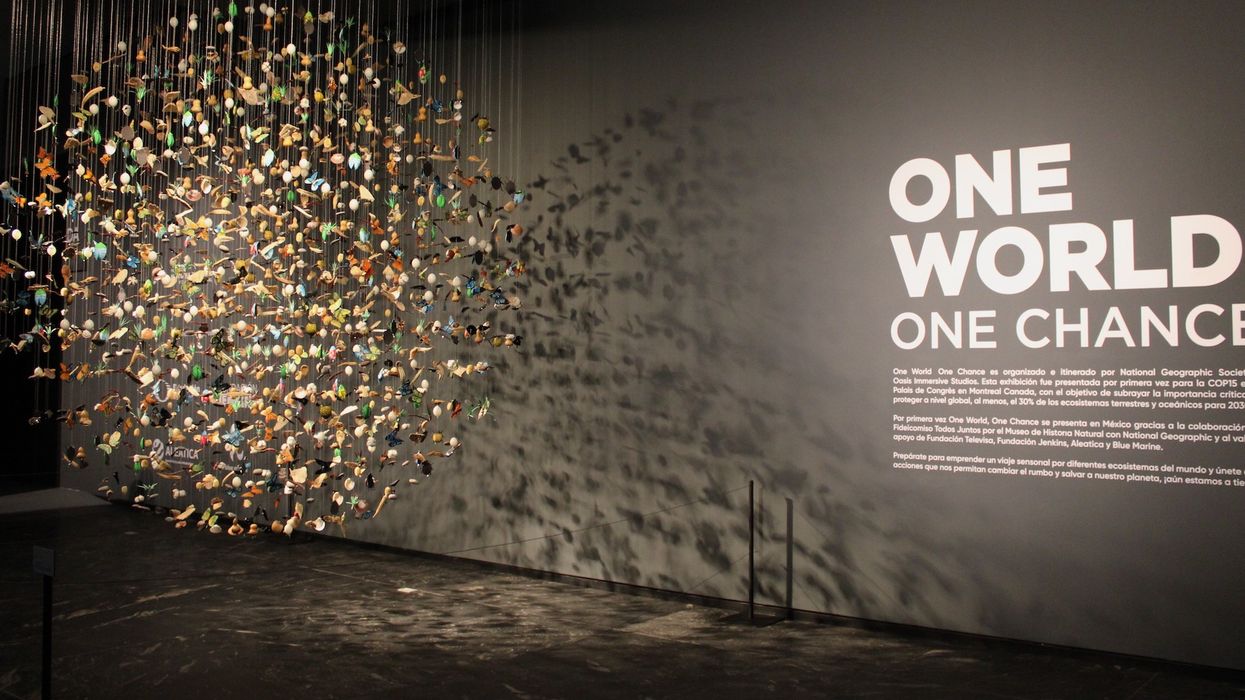 One World One Chance Mexico