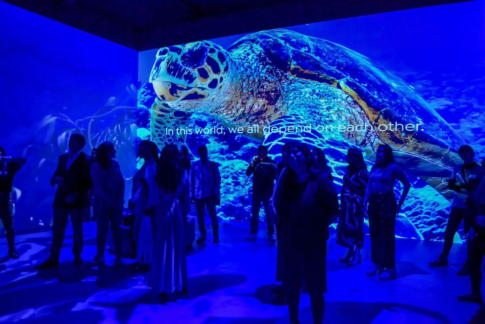 One World One Chance turtle