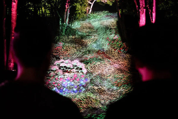 Onhwa’ Lumina moment factory