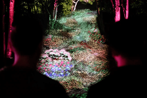 Onhwa’ Lumina moment factory