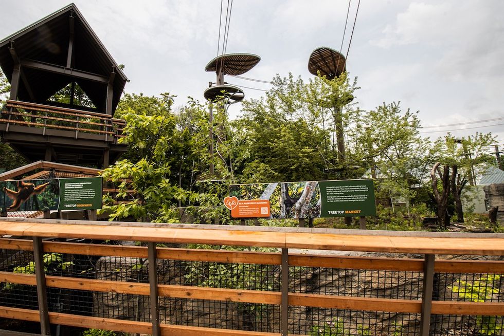 Orangutan habitat Toronto Zoo