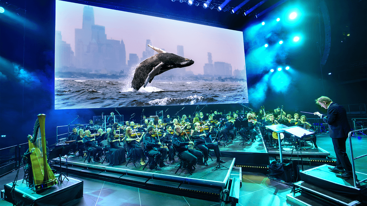 Orchestra performing on stage with a screen showing a breaching whale in front of a cityscape.