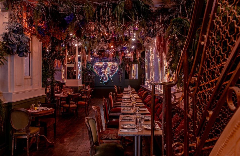 Ornate restaurant interior with lush plants and colorful lighting, featuring a glowing elephant mural.