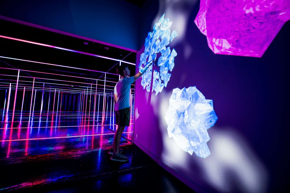 otherworld blooloop innovation awards 2022 projection map wall of flowers