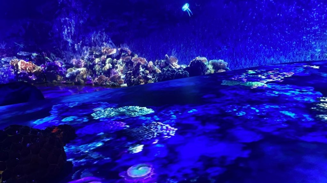 Our-Ocean-Our-Future-jellyfish