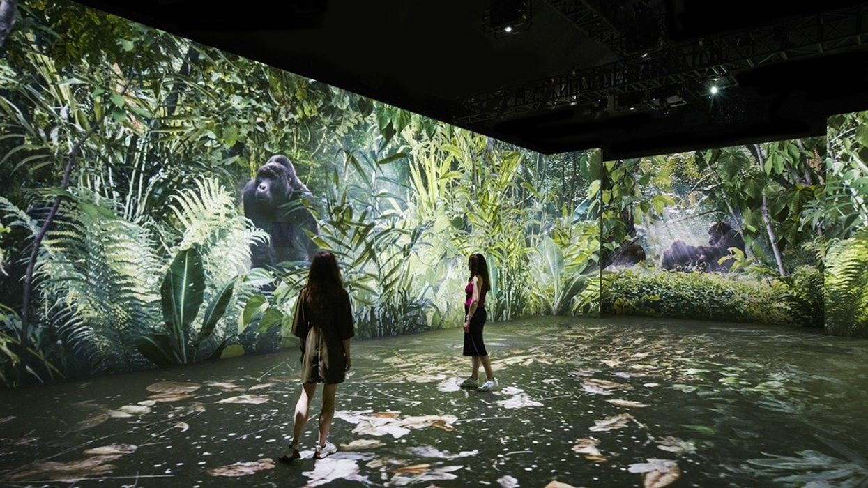 Our Story with David Attenborough (c) Trustees of the Natural History Museum