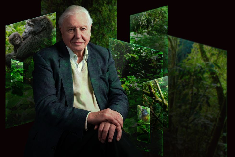 our story with david attenborough natural history museum