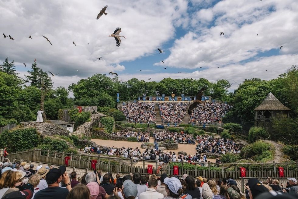 Outdoor theater show with birds flying over a large audience under a partly cloudy sky at Puy du Fou