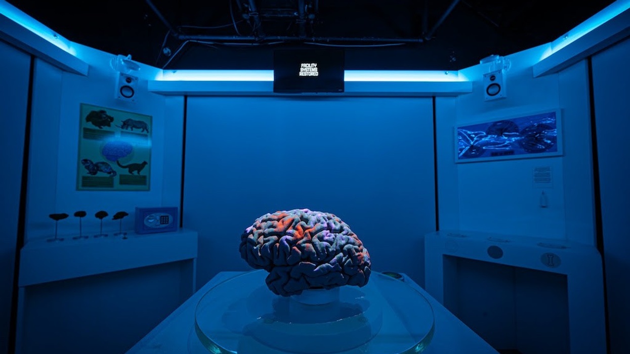Oxford Uni brain-themed escape room