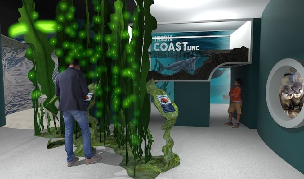 Pacific coast reefLIVE