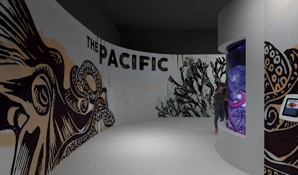 Pacific exhibit reefLIVE Aquarium