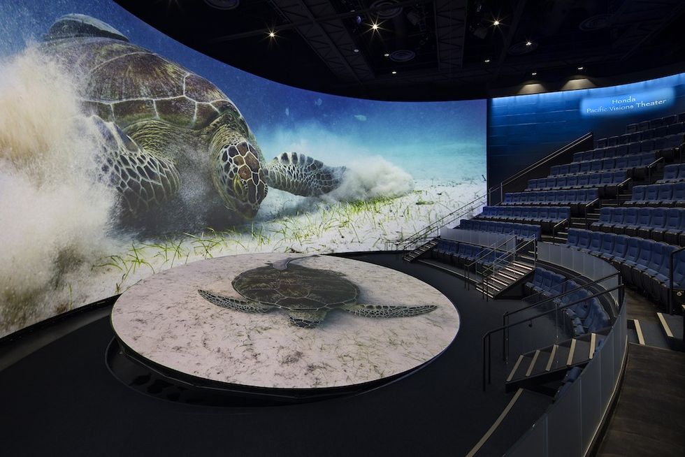 pacific visions theater at aquarium of the pacific