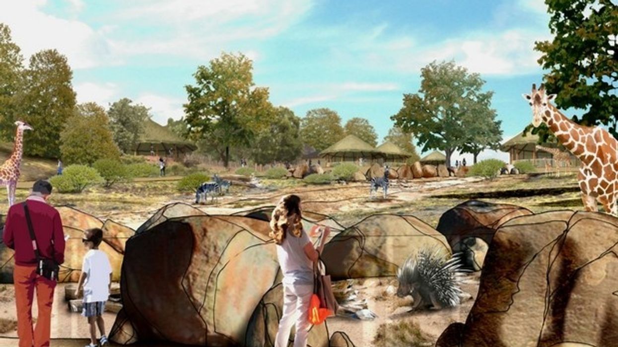 Paignton Zoo Into Africa 1