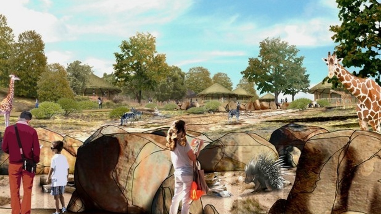 Paignton Zoo Into Africa 1