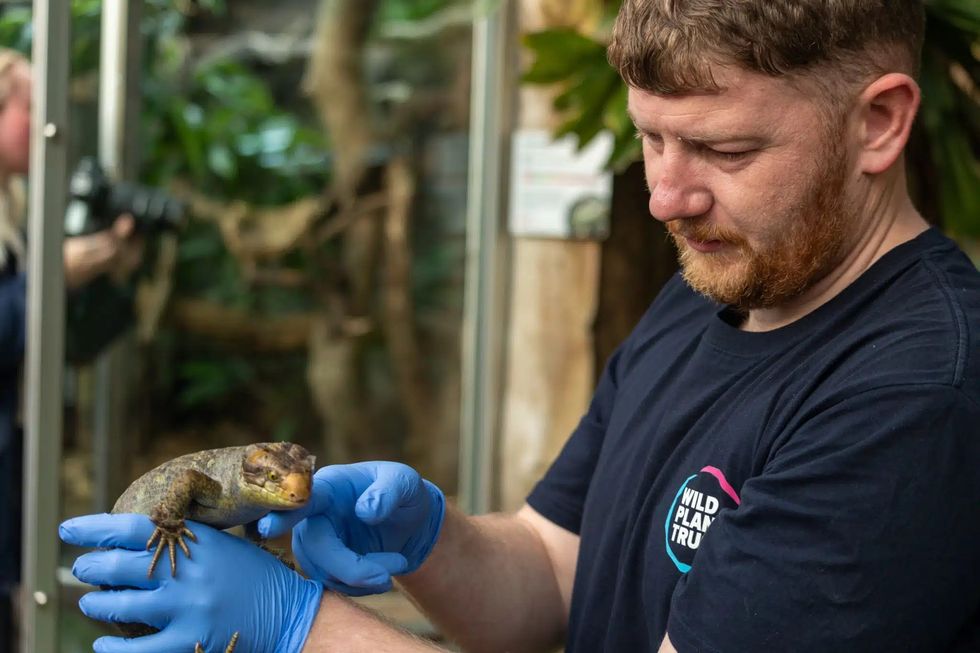 paignton zoo new database endangered species care