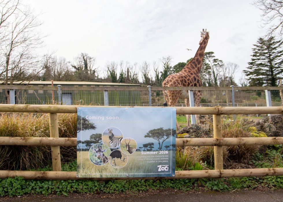 paignton zoo transformation