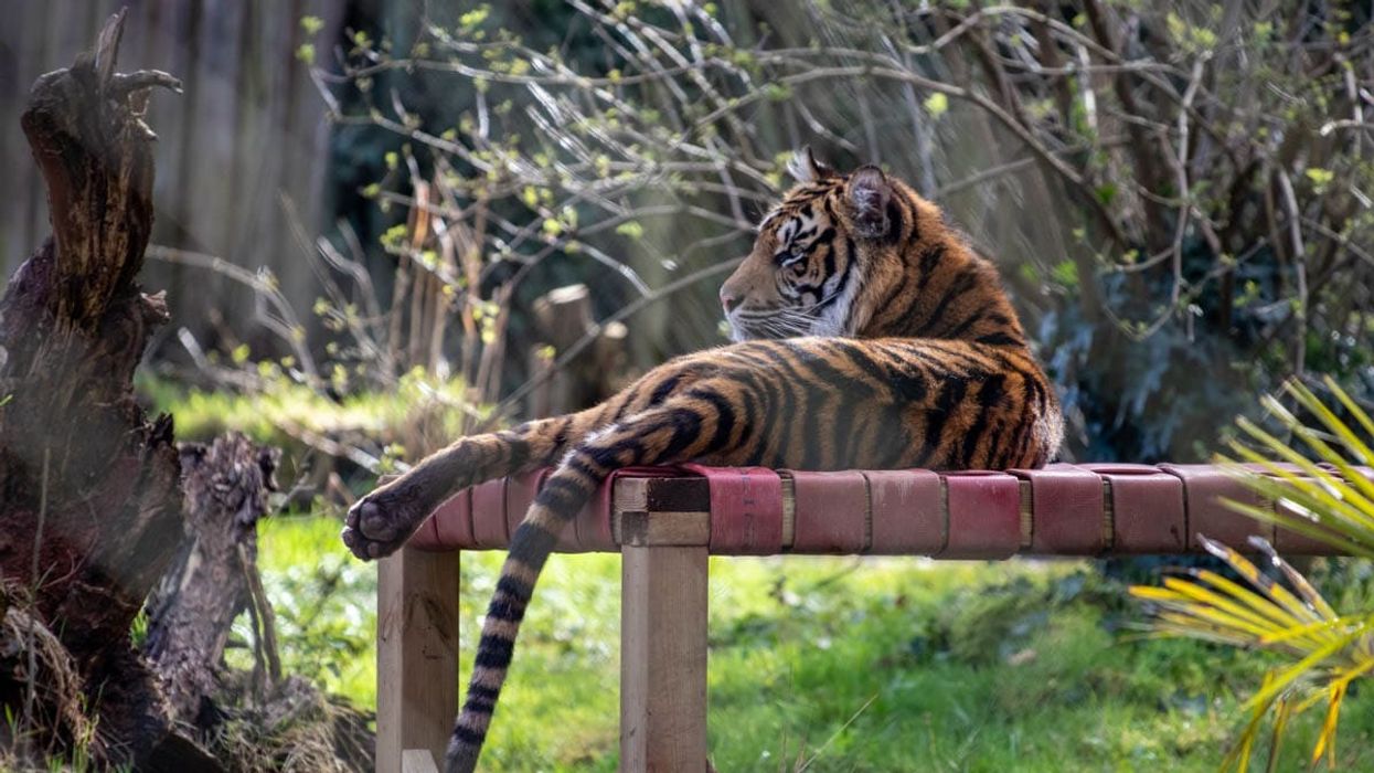 paignton zoo